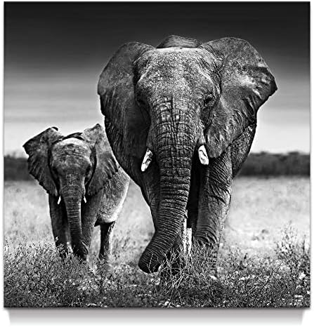 Слоновете Платно Картина Стенно Изкуство: Черно-Бял Декор на Африканско Диво Животно Портрет Живопис Сиво Произведение