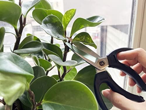 Японски градински ножици, дължина 7 инча, ножица за растения с диаметър до 8 мм