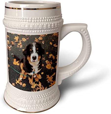 3. Куче от колекция Тори Ан - Сладко Кученце бернската планинско куче - Чаша за стейна на 22 унция (stn-362220-1)