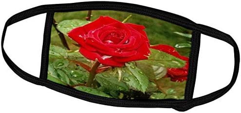3dRose Renderly Yours Цветя - Червена Роза, Блестяща След дъжд - Обложки за лице (fc_269444_1)