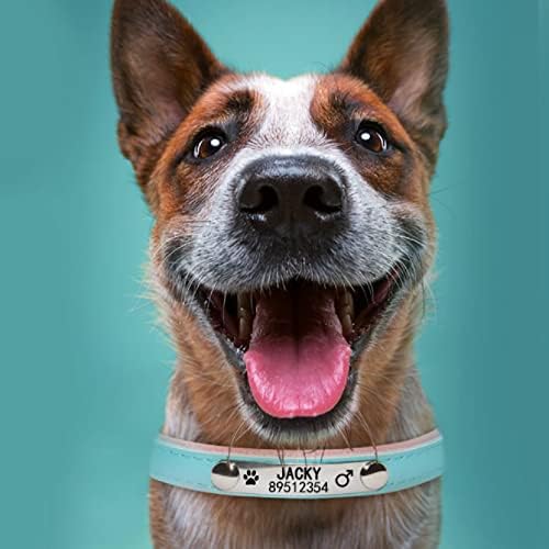 Персонални Выгравированная Поименна Етикет Нашийник за домашни Кучета за Малки, Средни и Големи Кучета Потребителска