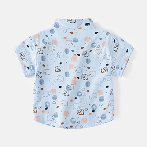 Тениска с къс ръкав за малки момчета и момичета, Детски Блузи с шарени Великденски Мультяшного Заек, Тениска (0314I-син,