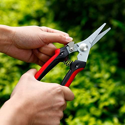 Ножици за подстригване Един градинар, по-леки и малки градинарски ножици за лесно, градинарство, са идеални за рязане